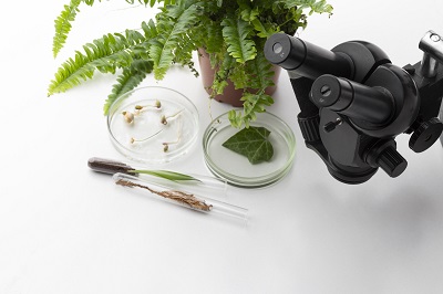 6 Trending Topics in Environmental Research